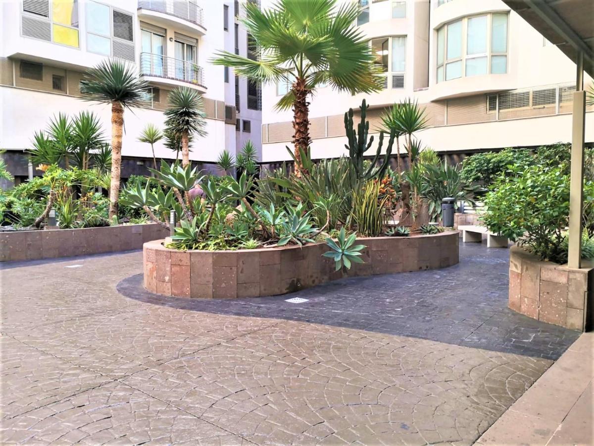 New Estrelitzia Luxury Apartamen Appartamento